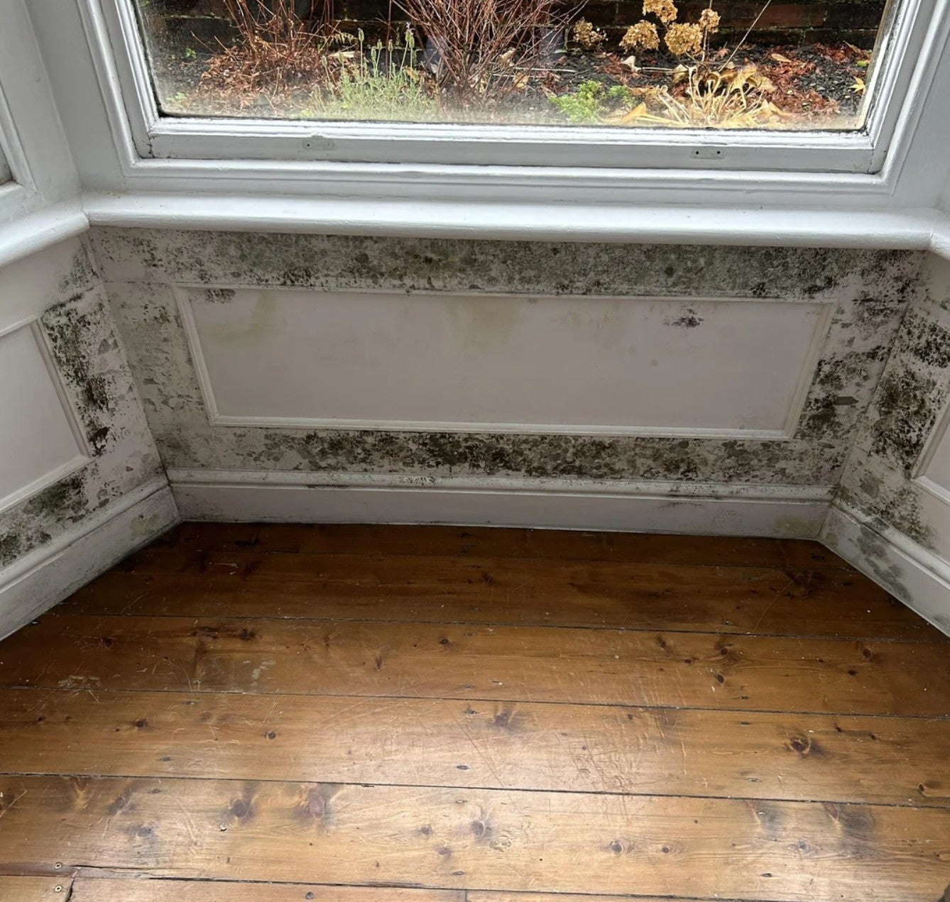 Condensation, Damp and Mould Training